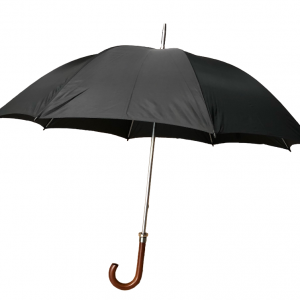 Wooden Handle Umbrella (Black)